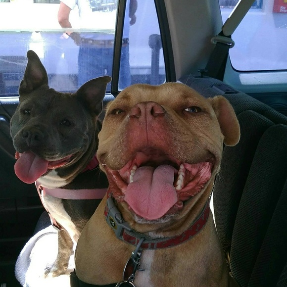 Meet your Posher, Jean - Picture 4 of 5